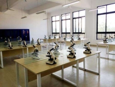http://www.hobbyeyes.com/school-2/document-id-61.html