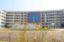http://www.hobbyeyes.com/school-2/document-id-739.html