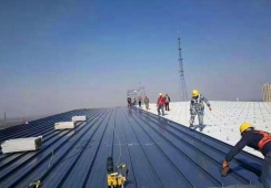 ͽagI