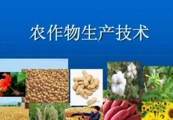 ag